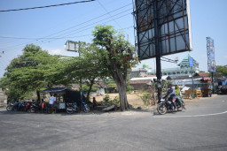 Pembangunan Pasar Dungus Tinggal Selangkah Lagi, Kontrak Ditarget Awal Agustus  ‎