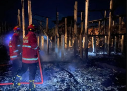 Diduga Kebocoran LPG, 3.100 Ayam Ludes Terpanggang di Kedungwaru Tulungagung