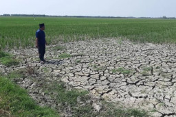 Tetapkan Siaga Darurat Kemarau, BPBD Petakan 13 Desa di Malang Rawan Kekeringan