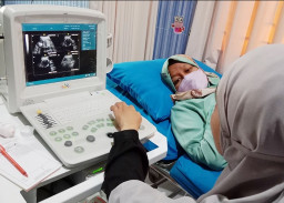 Cegah AKI AKB, Dinkes Tuban Beri Pendampingan Intensif Ibu Hamil Berisiko Tinggi