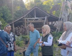 Tingkatkan Produksi Cabai, Diperta Probolinggo Bangun ‘Screen House Modern’