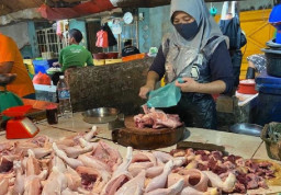 Usai MBG Kembali Beroperasi, Harga Ayam Melonjak di Kota Malang Alami Kenaikan