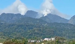 Hutan di Gunung Biru Mojokerto Terbakar Hebat, 4 Regu Damkar Diterjunkan