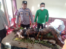 Terjebak Kebakaran Lahan Tebu di Blitar, Nenek 63 Tahun Meninggal Dunia