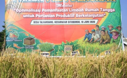 Pemkab Catat per Januari-Juni, Produksi Padi di Situbondo Meningkat Capai 225.736 Ton