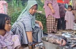 Layak Konsumsi, Ribuan Ikan di Ranu Klakah Lumajang Mati Dijual Murah untuk Tekan Kerugian