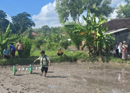 Dukung Swasembada Pangan, Sumenep Tingkatkan Produksi Padi Lewat Metode PM-AAS