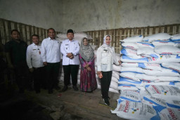 Walikota Ning Ita dan Tim KP3 Sidak Kios Pupuk dan Pestisida di Blooto