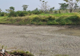Masa Tanam Ketiga: 156 Waduk di Gresik Mengering, Petani Mulai Gelisah Kebutuhan Pasokan Air