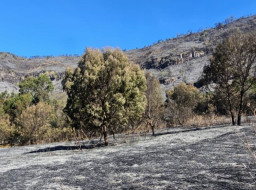 2.056 Wisatawan Berbondong-bondong Ajukan ‘Refund Imbas Bromo Ditutup Total