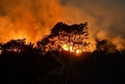 Kebakaran di Karhutla Kalimantan, Ancam IKN
