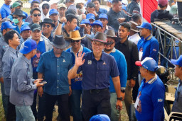 Lomba Karapan Sapi Jelang HUT ke-25 Demokrat, AHY Jaga Kekayaan Budaya Nusantara