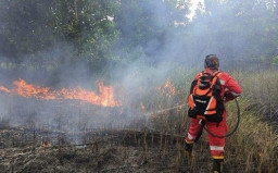 Lagi! Bukit Sentong Ranupani Lumajang Terbakar, Satu Hektare Lahan Ludes