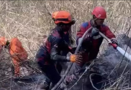Padamkan Karhutla di Kawasan Bromo, Damkar Surabaya Semprot 3.000 Liter Air