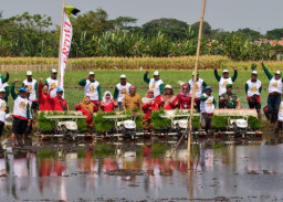 Dukung Swasembada Pangan, Diperta Probolinggo Gencarkan Gerakan Tanam Padi