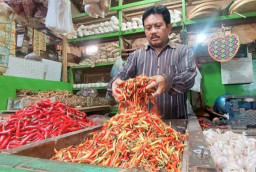 Stok Menipis, Harga Cabai Rawit di Kota Probolinggo Tembus Rp60 Ribu