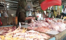 Pedagang Kuliner Menjerit, Harga Daging Ayam di Ngawi Tembus Rp43 Ribu per Kg