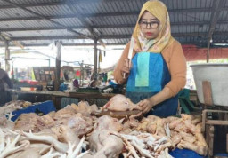 Harga Daging Ayam di Pasar Porong Tembus Rp 43 Ribu per Kg saat Maulid Nabi