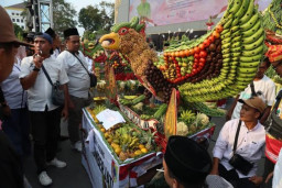 Ancak Agung Perkuat Tradisi dan Gotong Royong Warga Jember Bersatu
