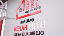 KopDes Dicarikan Dana Peremajaan Sawit Rakyat