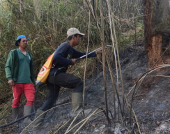 Insiden Kebakaran di Blok Ranu Kembang, Jalur Pendakian Semeru Ditutup Total