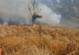 Karhutla di Gunung Bromo Meluas 7,9 Hektare hingga Watu Gede Probolinggo