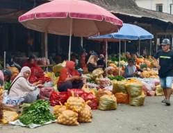 Panen Petani Sayuran di Magetan Anjlok hingga 80 Persen, Dipicu Ganasnya Kemarau