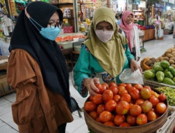 Pane Melimpah Tapi Harga Tomat Anjlok, Petani di Magetan Hanya Dapat Rp1.500 per Kilogram