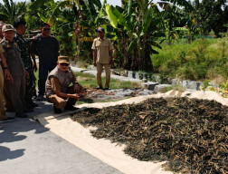 Jaga Produktivitas di Tengah Kemarau, Pemkab Lamongan Arahkan Petani di Lahan Tadah Hujan