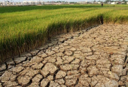 Pemkab Madiun Bangun Sumur Bor di 30 Titik Puluhan Desa Terancam Kekeringan