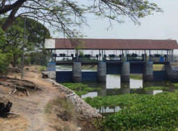 Musim Kemarau, Pemkab Lamongan Kendalikan Distribusi Air Bengawan Jero untuk Pertanian