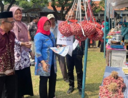 Dorong Gerakkan Ekonomi Desa, Pemkab Magetan Dukung BUMDes UMKM Fair