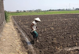 Petani di Nganjuk Modifikasi Elipiji 3 Kg untuk Diesel Demi Tekan Biaya BBM