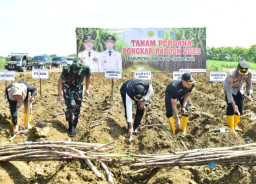 Masa Panen dan Giling, DKPP: Produksi Tebu di Lamongan Capai 68.874 Ton