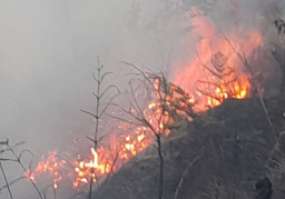 Imbas Kebakaran Blok Bantengan, TNBTS Tutup Sebagian Akses Wisata Bromo