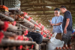 BRI Jaga Momen Pertumbuhan Kredit dengan Kedepankan Kehati-hatian