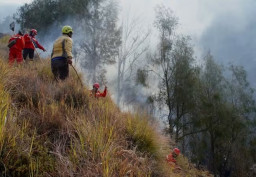 Cegah Karhutla, Balai Besar TNBTS Hentikan Sementara Kegiatan Syuting dan Event