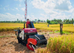 Dorong Produktivitas Berkelanjutan, DKPP Kota Madiun Terapkan Pertanian Modern