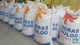 Beras Premium Kemasan 5 Kg Langka, Mendag Andalkan Bulog