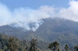 Ditemukan 4 Titik Kebakaran, Karhutla TNBTS Meluas Hingga Kawasan Malang