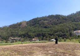 Angin Kencang, Operasional Paralayang Gunung Banyak Dihentikan Sementara