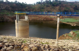 Petani Magetan Beralih ke Palawija Imbas Waduk Gonggang Surut 7,5 Meter