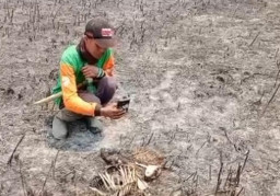 Selain Vegetasi, TNBTS Lumajang Temukan Kijang Mati Terbakar Saat Karhutla