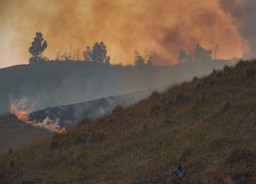 Demi Percepat Pemadaman, TNBTS Tutup Total Aktivitas Wisata Gunung Bromo
