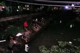 Warga Surabaya Ramai Berburu Ikan Mabuk di Jembatan Jagir, Arus Lalin Tersendat