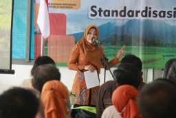 Tingkatkan Produktivitas Tanaman Pangan, BPTP Jatim Gelar Bimtek Standarisasi Perbenihan