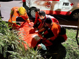 Diduga Sopir Mabuk, Mobil Honda Jazz Tabrak Pohon