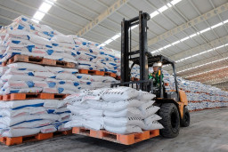 Petani Harus Terdaftar di e-RDKK Untuk Memperoleh Pupuk Bersubsidi