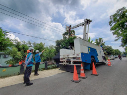 Ratusan Personel Borderless PDKB PLN Gelar Pemeliharaan Jaringan di Jatirogo