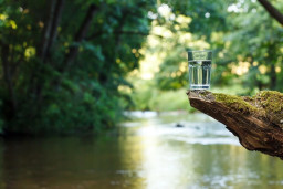 Konsumsi Air Putih yang Terpenting Sumbernya Bagus